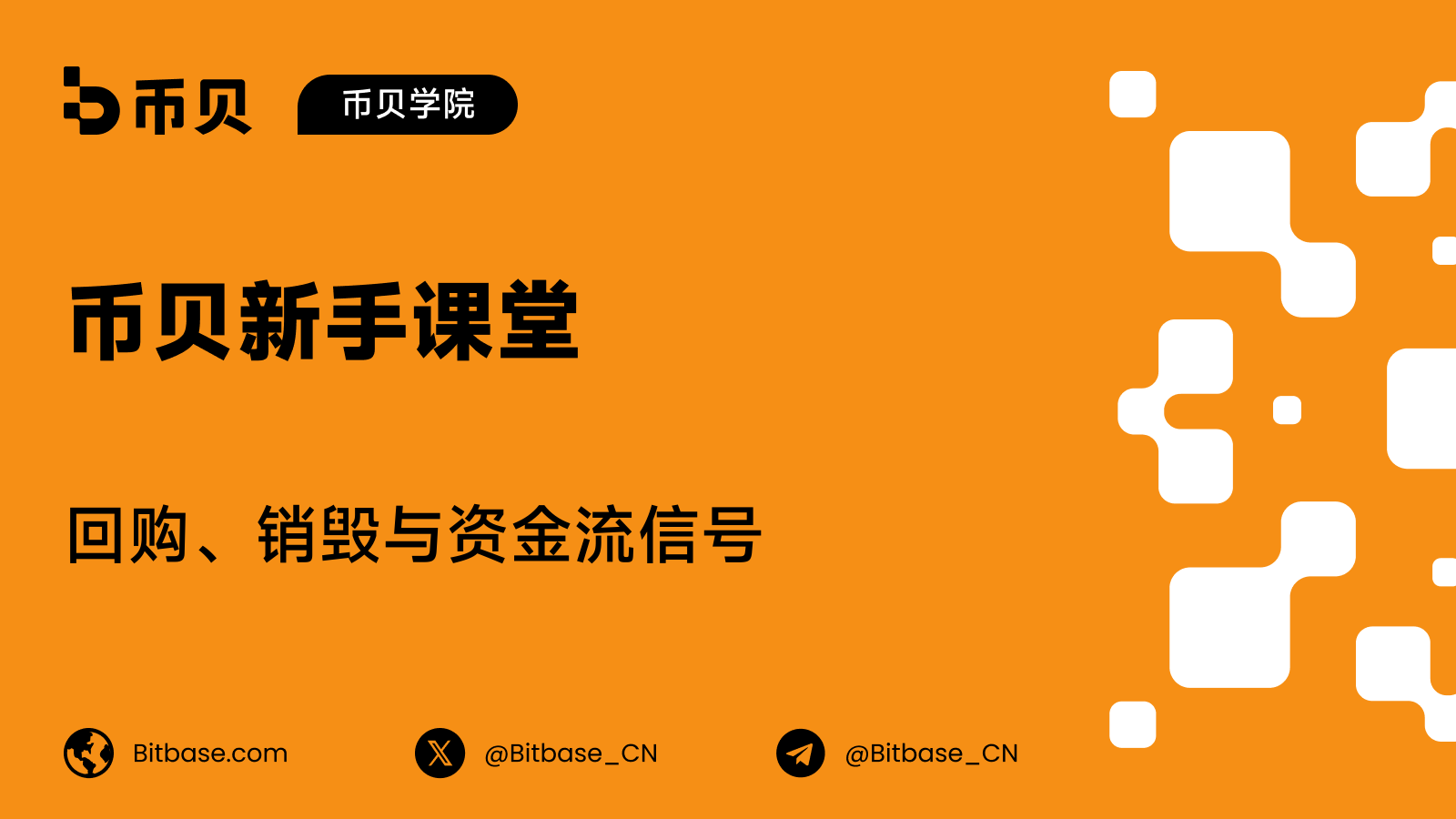 回购、销毁与资金流信号