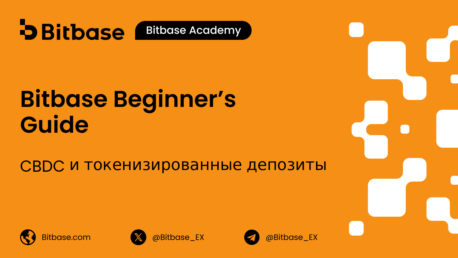 CBDC и токенизированные депозиты