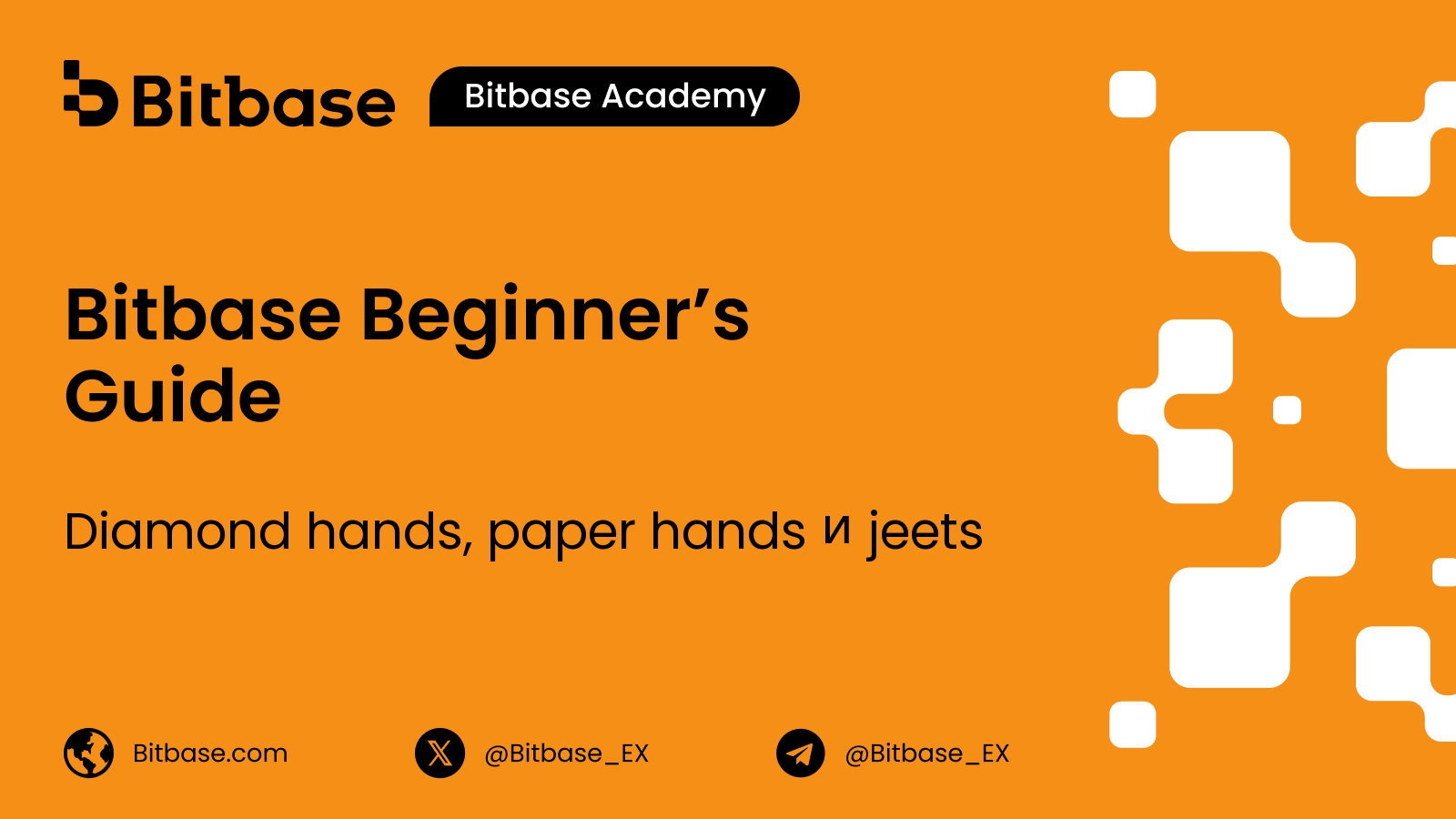 Diamond hands, paper hands и jeets