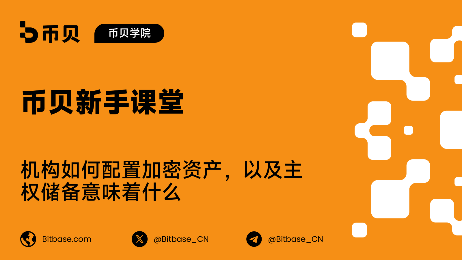 机构如何配置加密资产，以及主权储备意味着什么