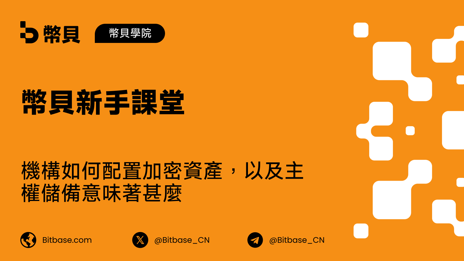 機構如何配置加密資產，以及主權儲備意味著甚麼
