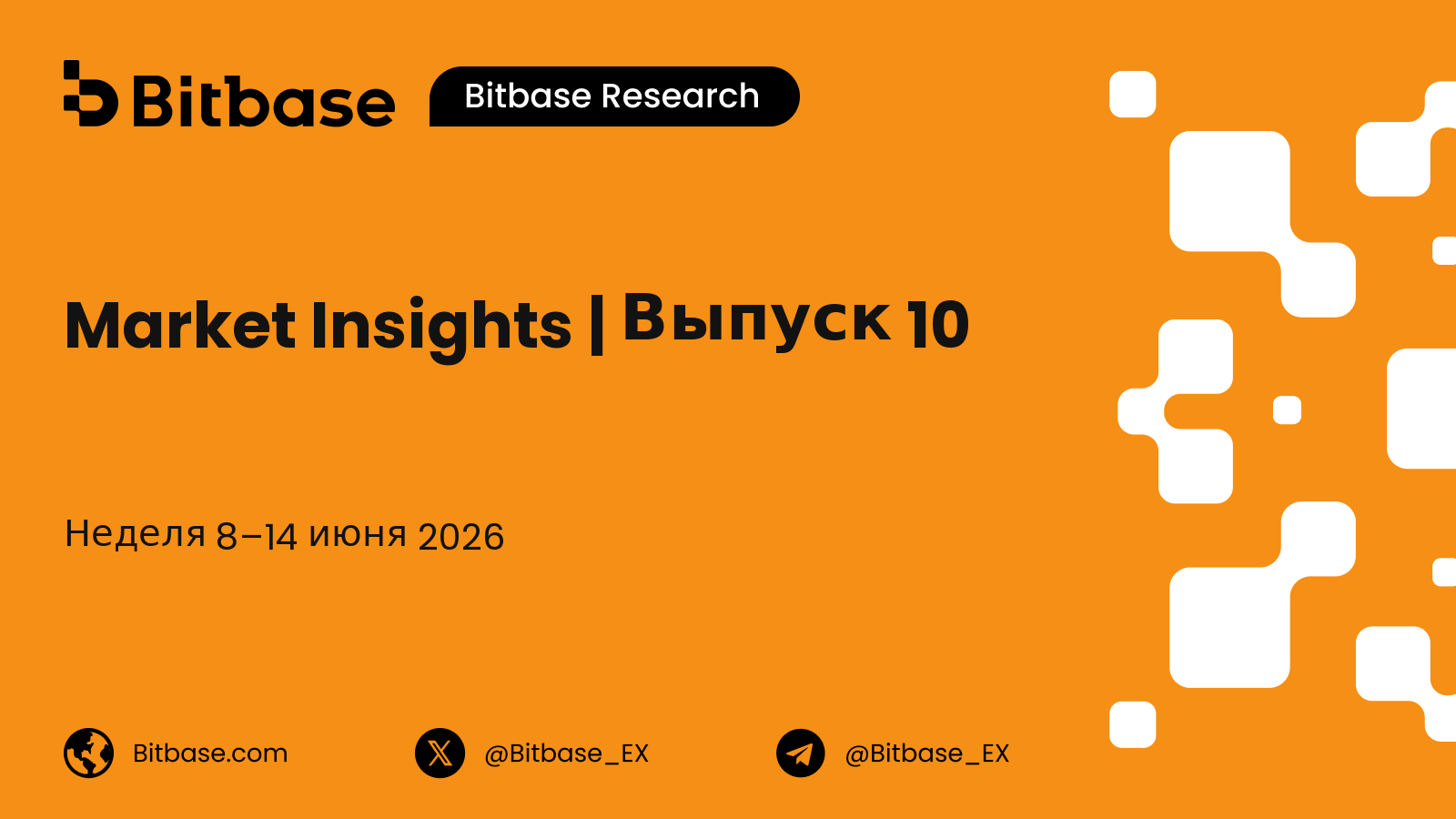 Market Insights | Выпуск 10