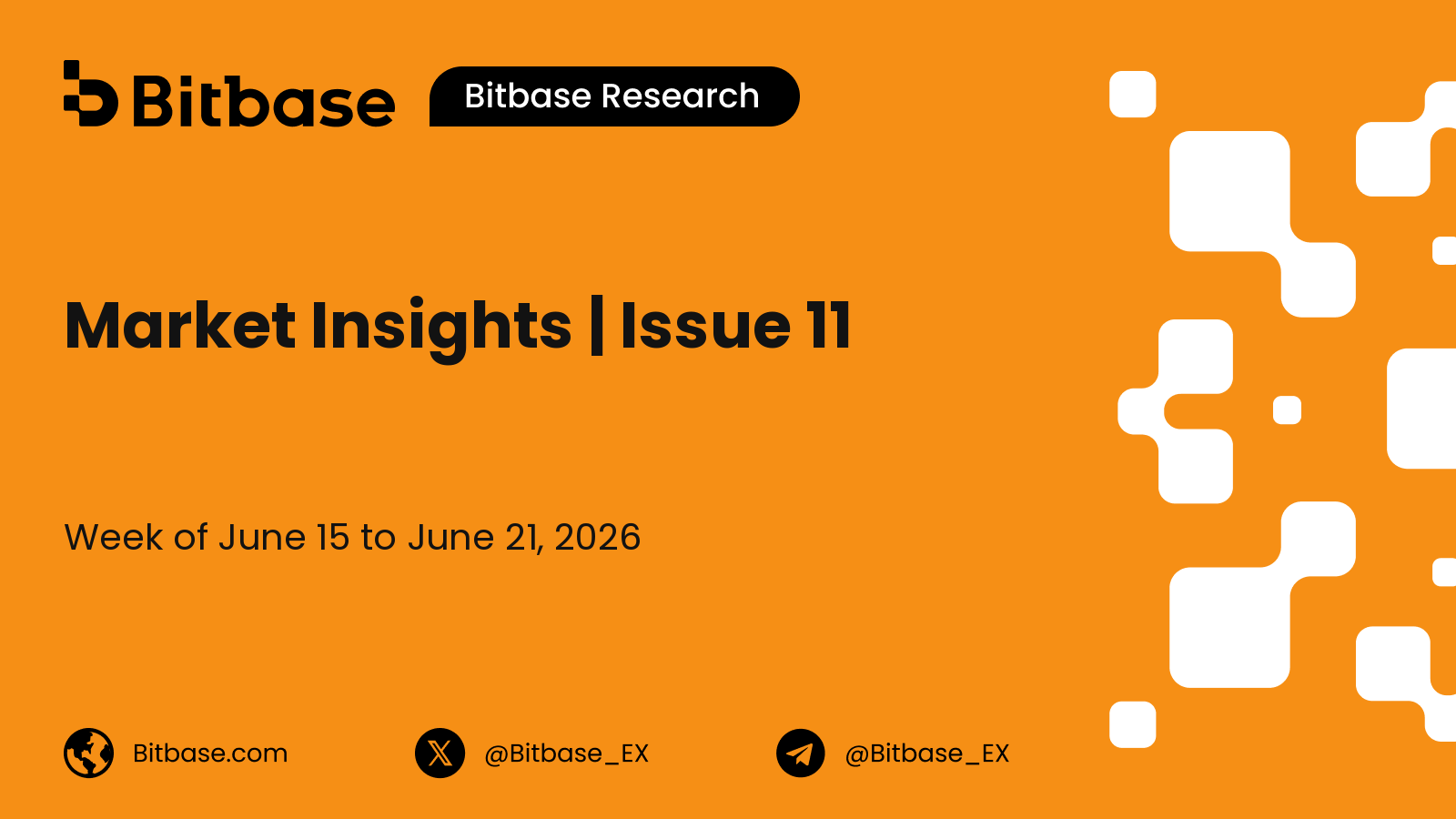 Market Insights | Issue 11