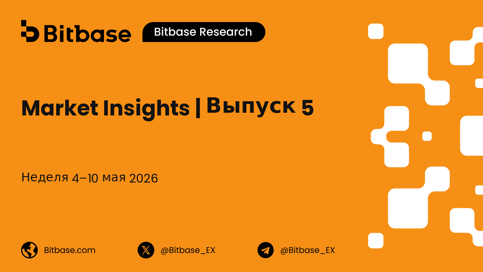 Market Insights | Выпуск 5