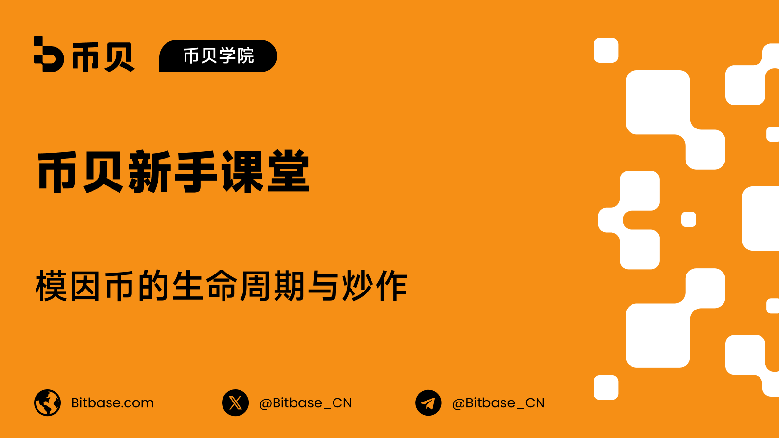 模因币的生命周期与炒作