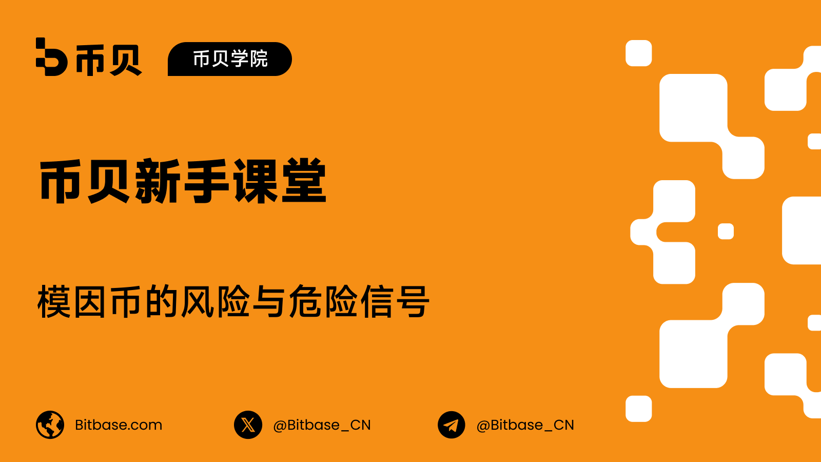 模因币的风险与危险信号