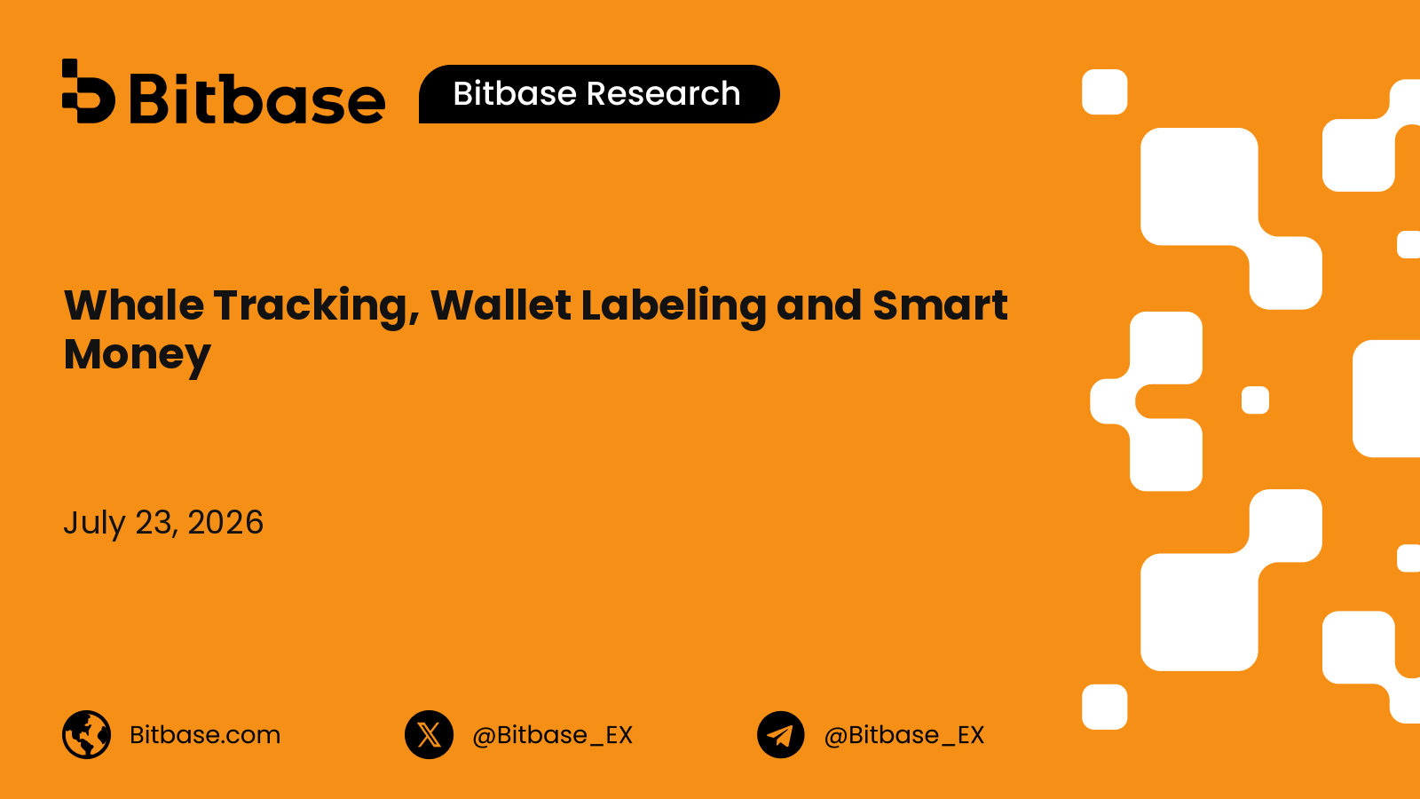 Whale Tracking, Wallet Labeling and Smart Money: A Wallet-Entity Taxonomy and Forensic Detection Framework