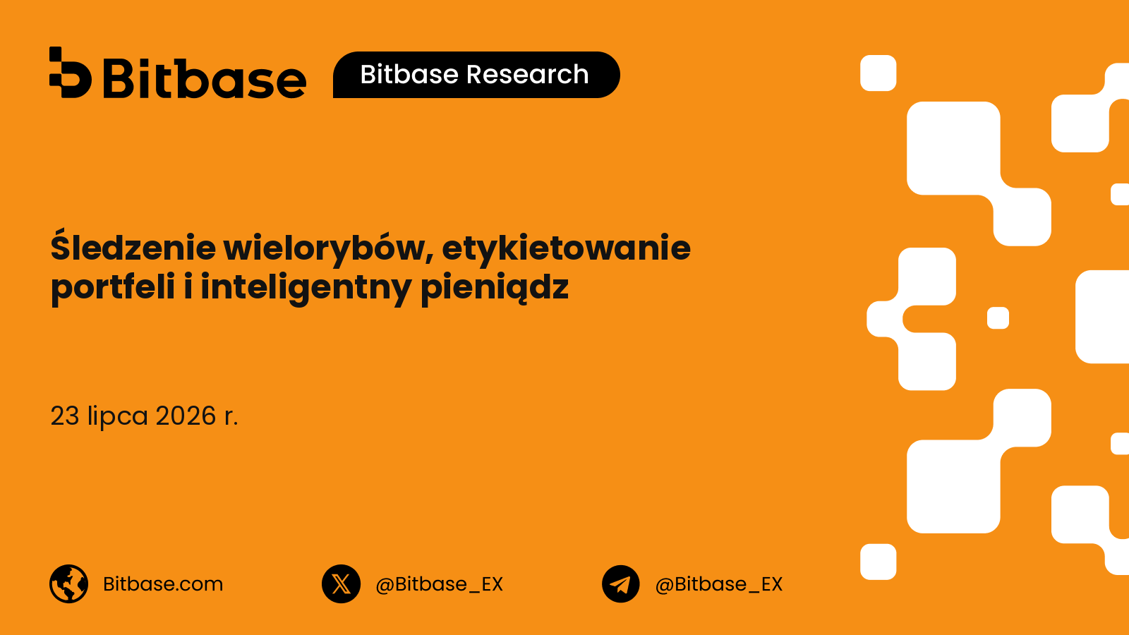 Śledzenie wielorybów, etykietowanie portfeli i inteligentny pieniądz: taksonomia portfeli-podmiotów i kryminalistyczny system wykrywania