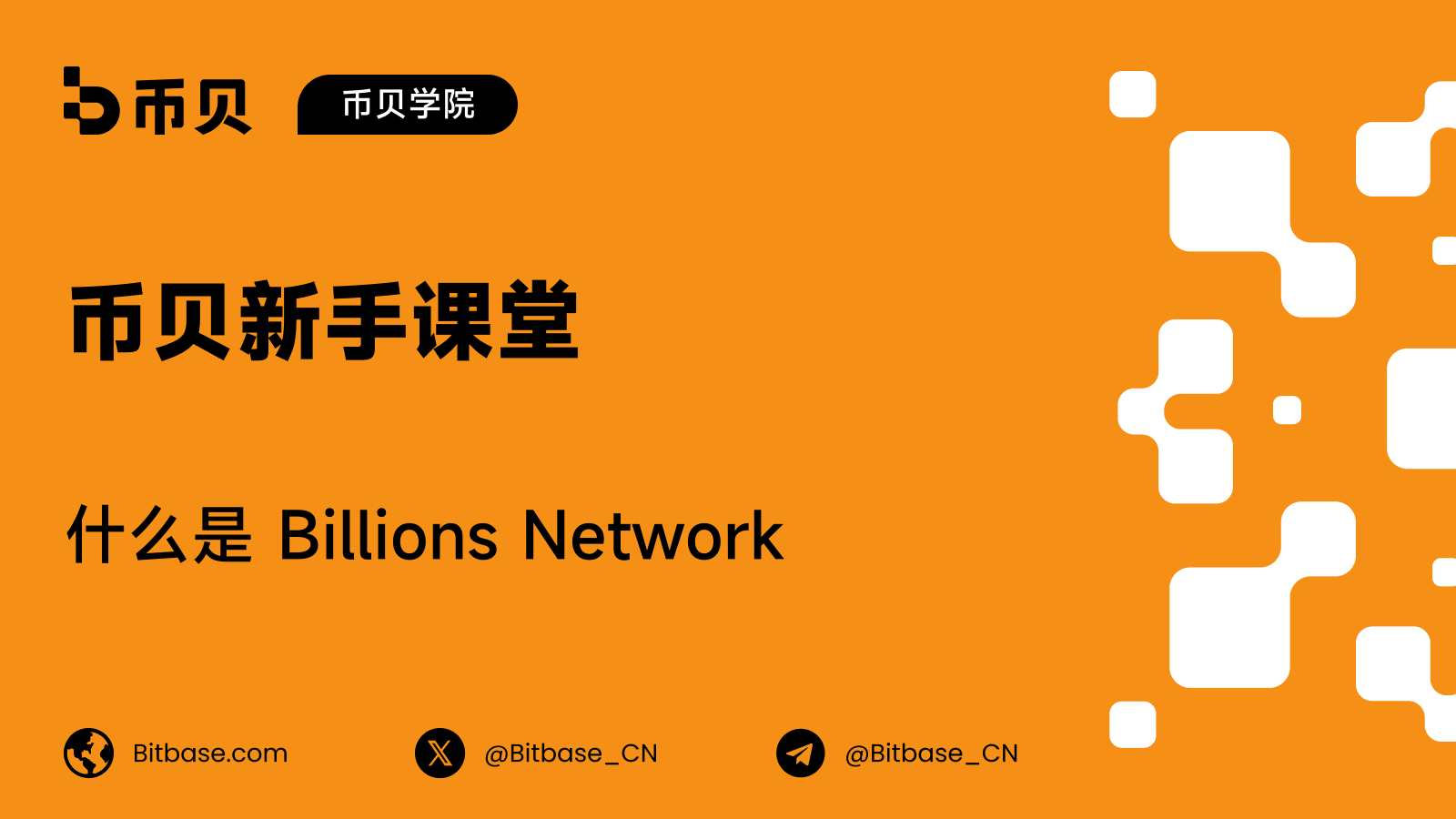 什么是 Billions Network:重视隐私的身份平台