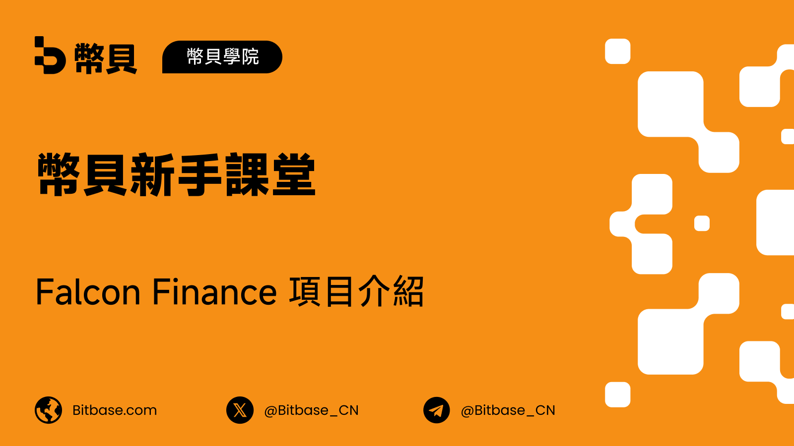 Falcon Finance 項目介紹