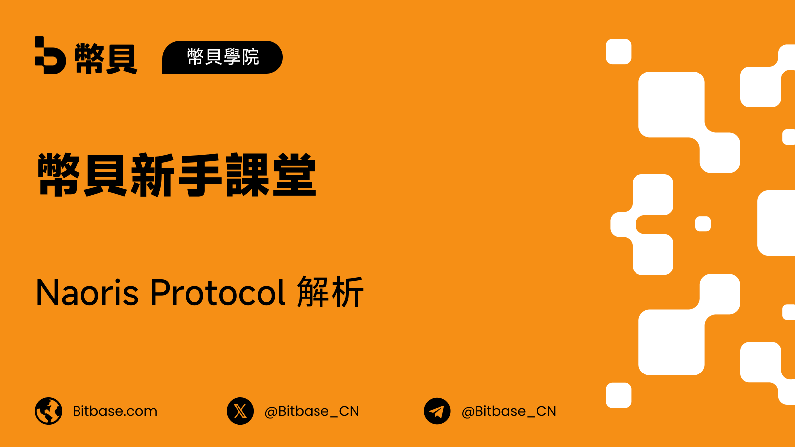 Naoris Protocol 解析