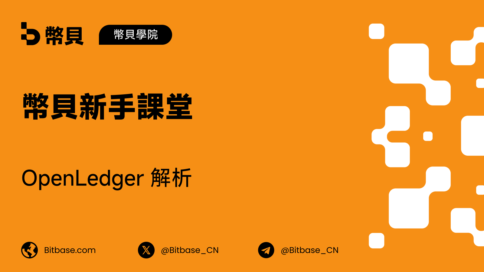 OpenLedger 解析