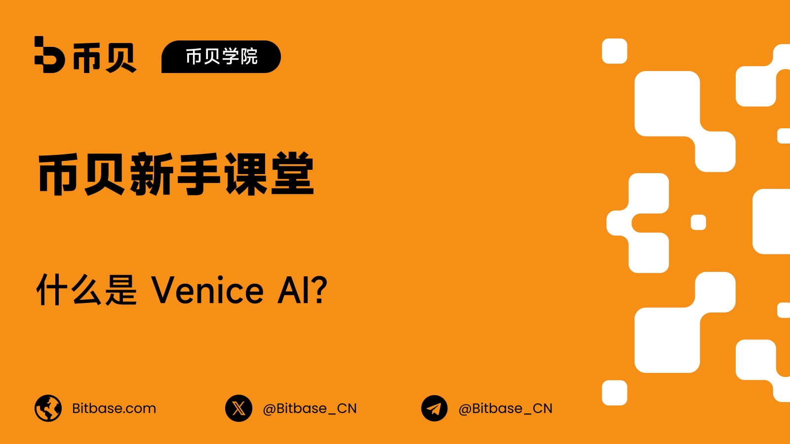 什么是 Venice AI？