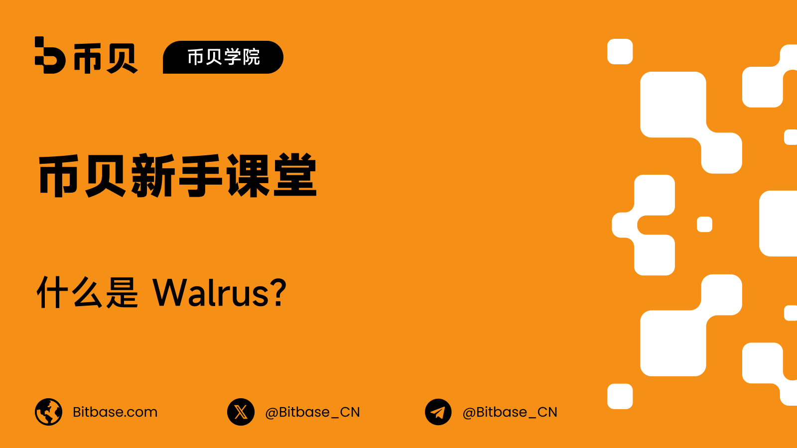 什么是 Walrus？Sui 上的可编程 Blob 存储