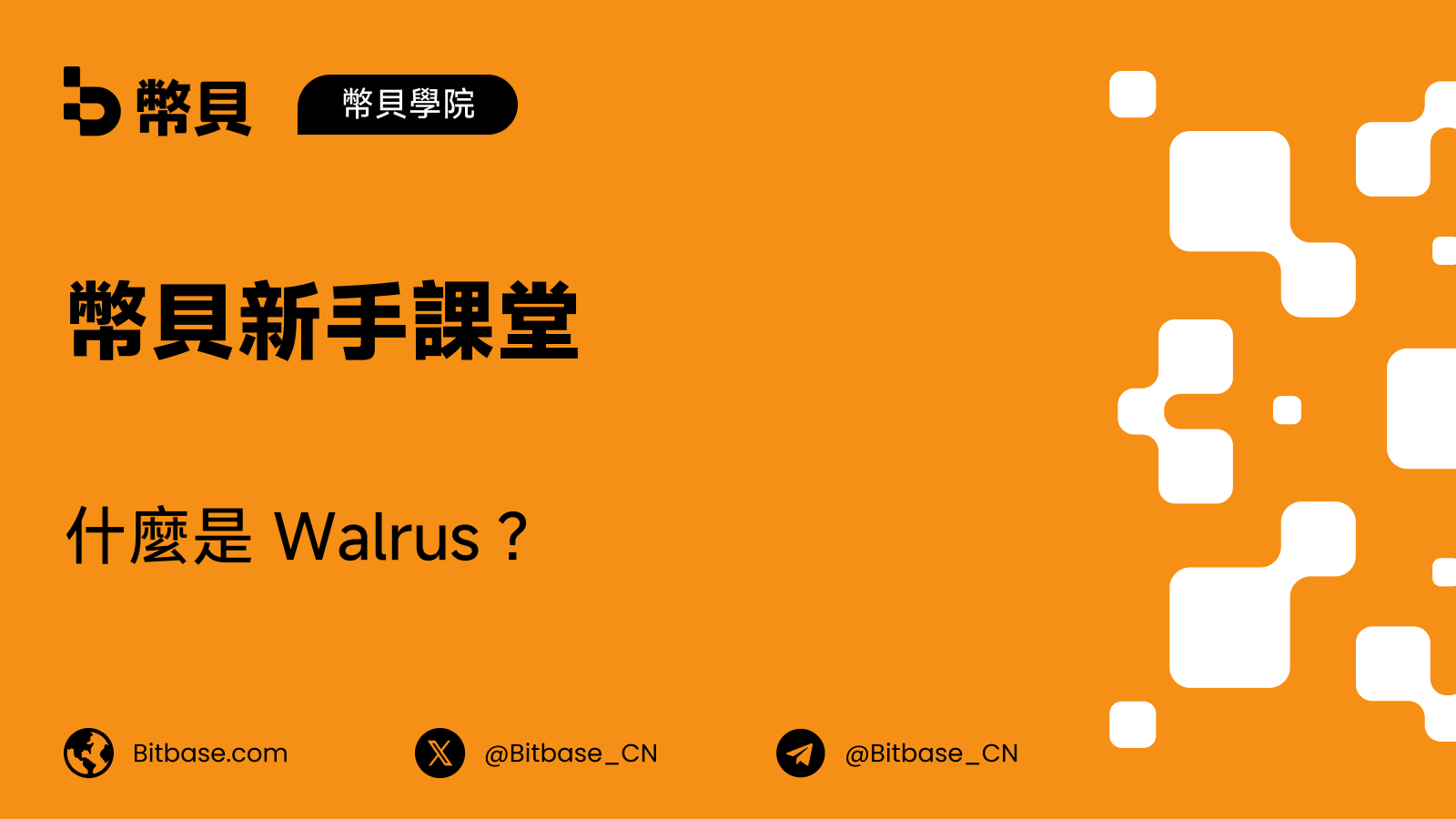 什麼是 Walrus？Sui 上的可編程 Blob 儲存