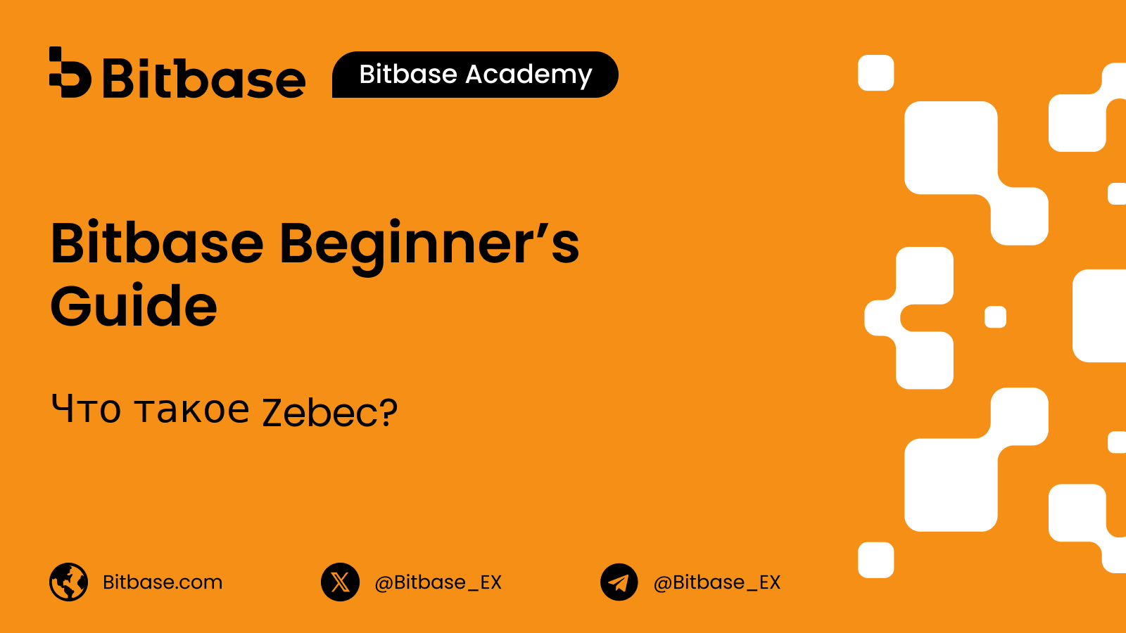 Что такое Zebec? Потоковые платежи в цепочке