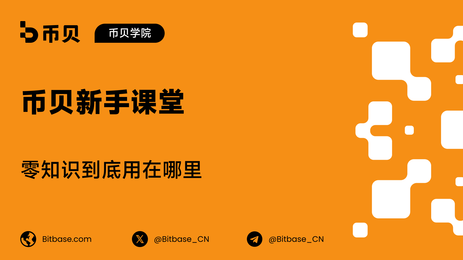零知识到底用在哪里:zkLogin、协处理器与身份检查